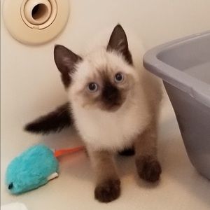 Meet your Posher, Nina